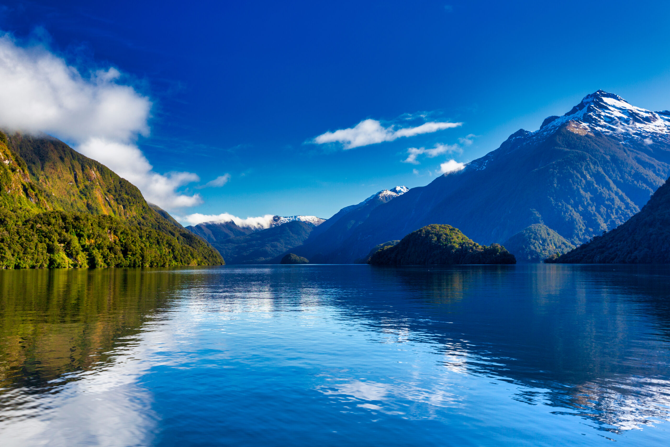 Day 3 | Doubtful Sound