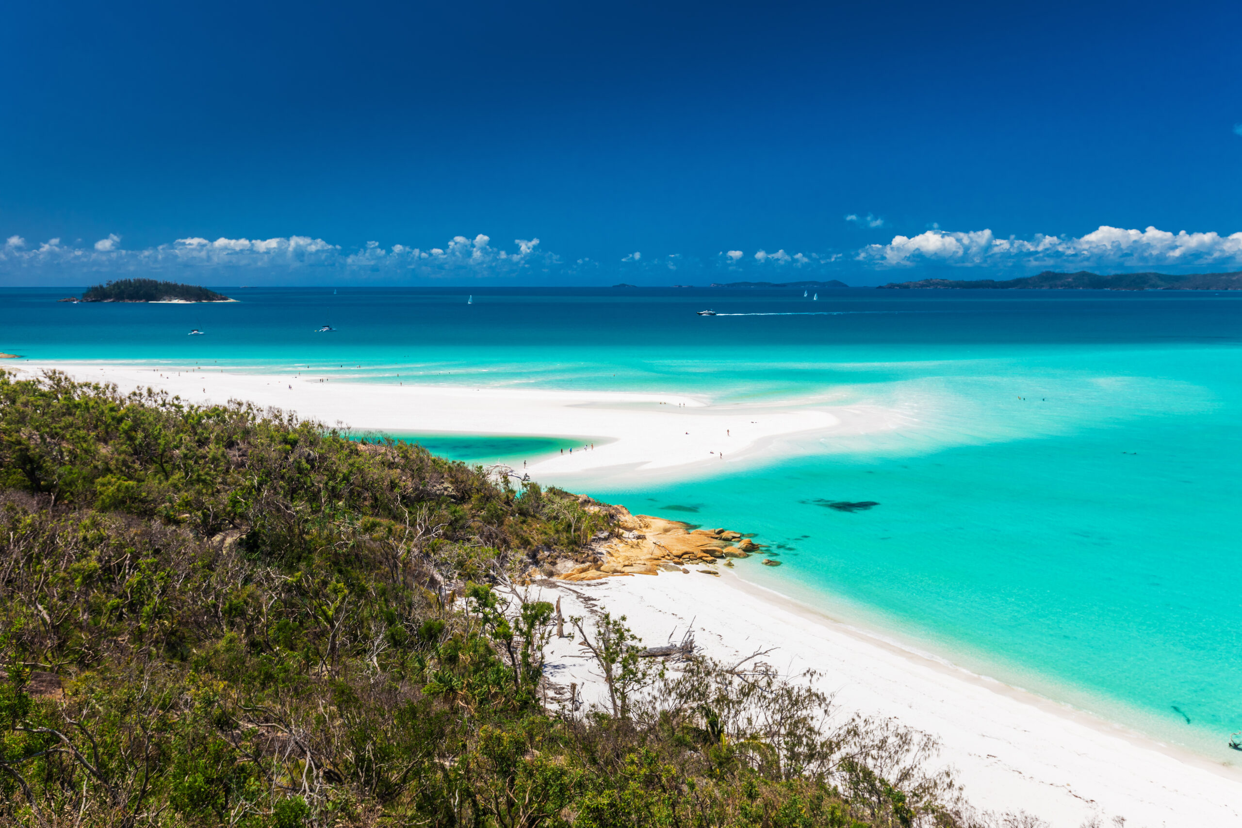 Day 6 | Border Island