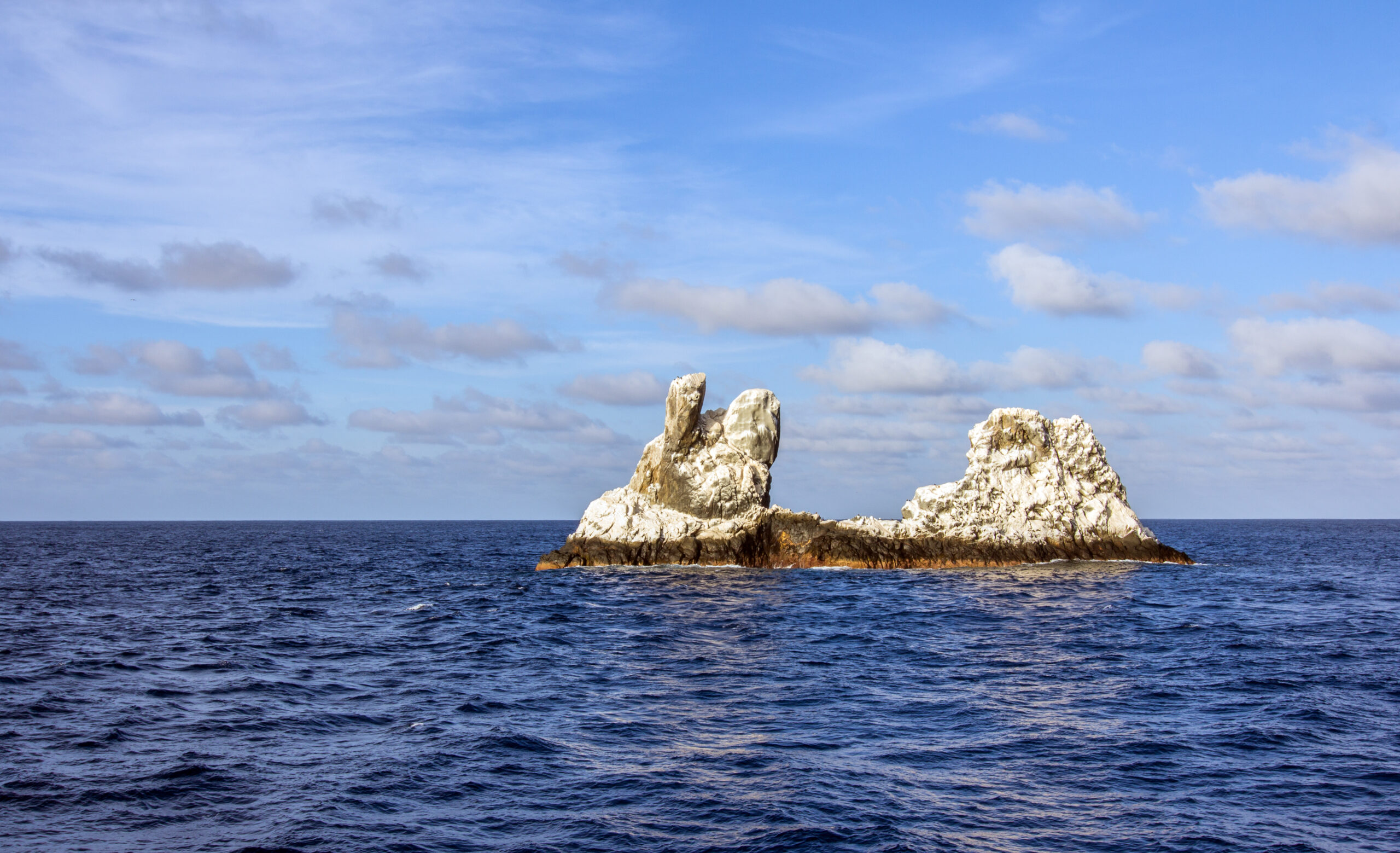 Day 3 | Isla Partida & Los Islotes