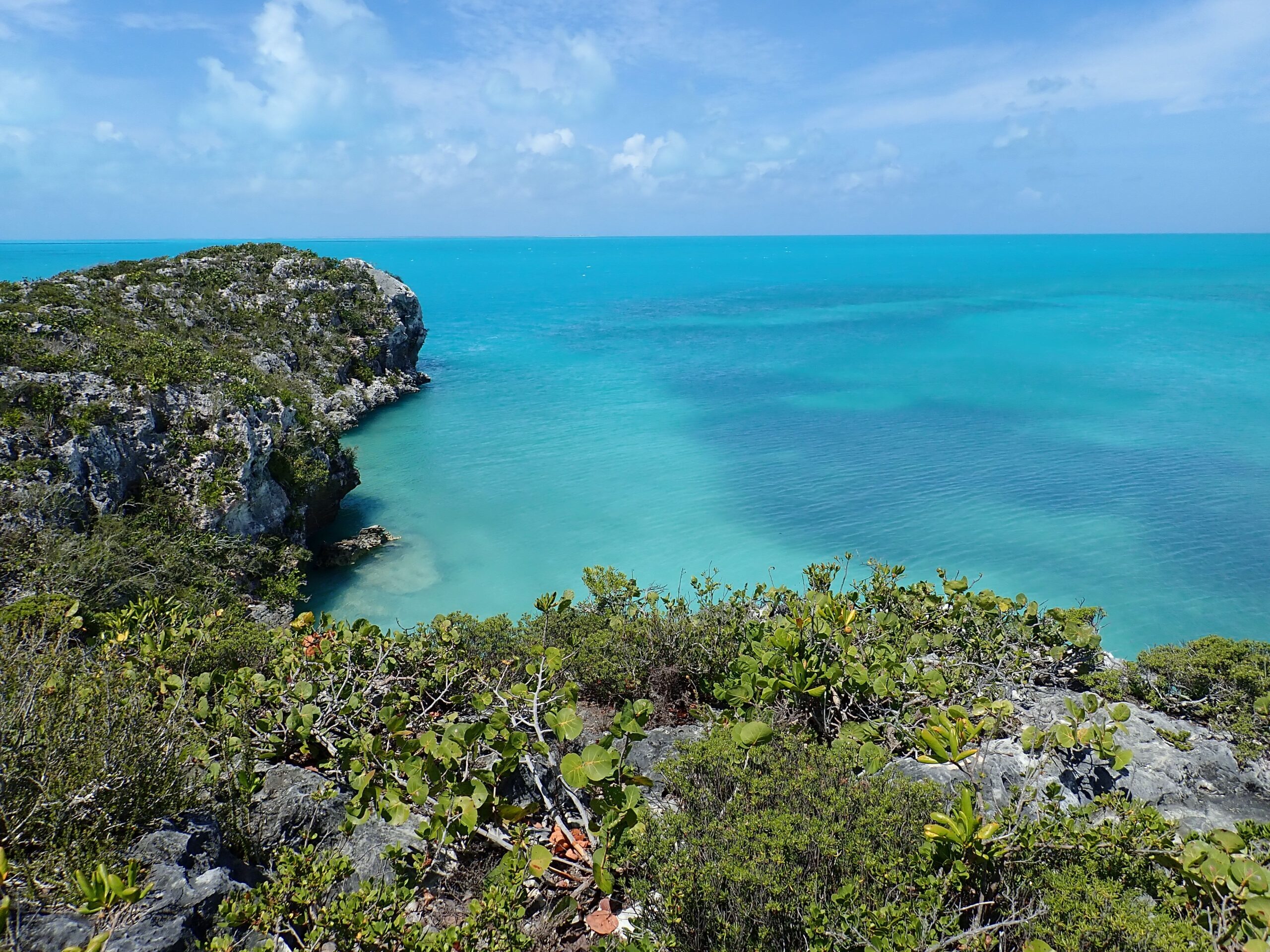 Day 7 | Saddlers Bay & Black Rocks