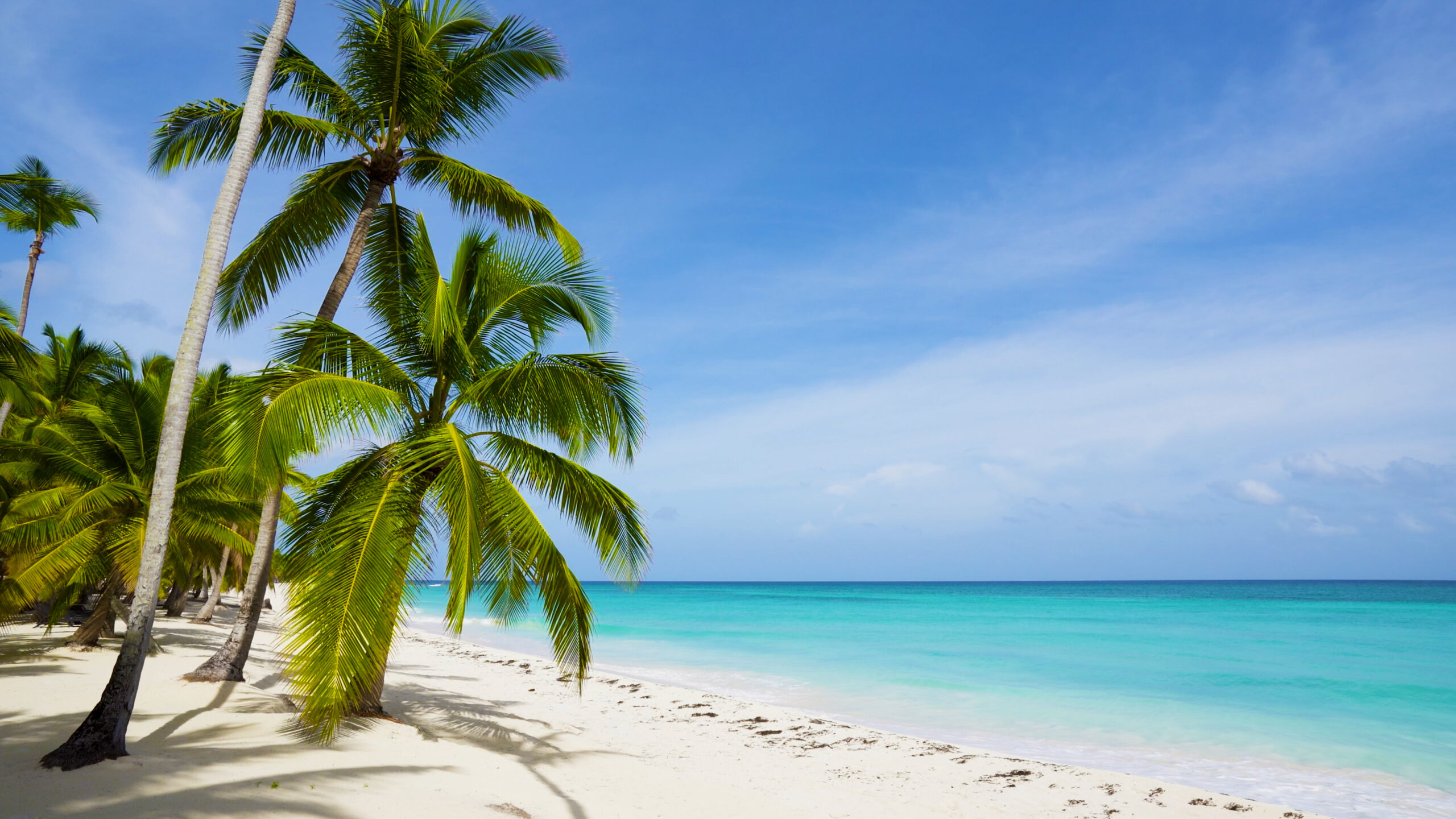 Day 1 | Nassau & Highbourne Cay