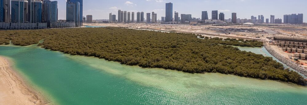 Day 4 | Saadiyat Island