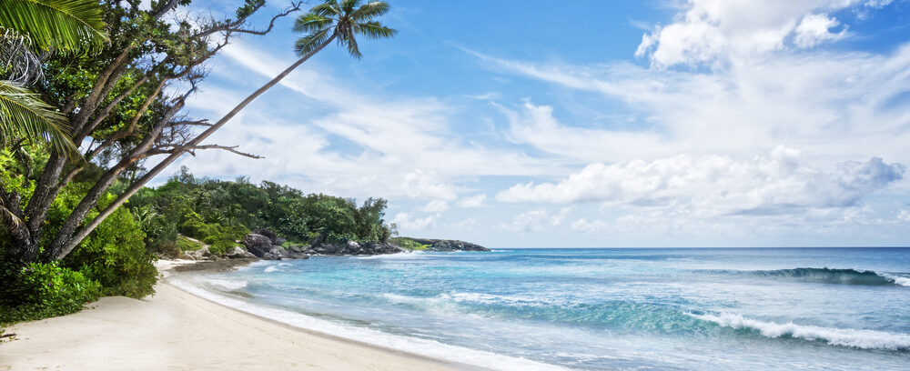 Day 6 | Silhouette Island