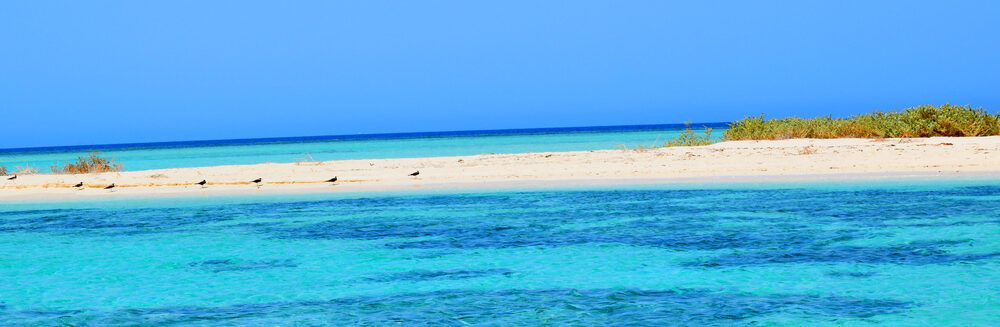 Between Desert and Sea: A Saudi Yachting Experience