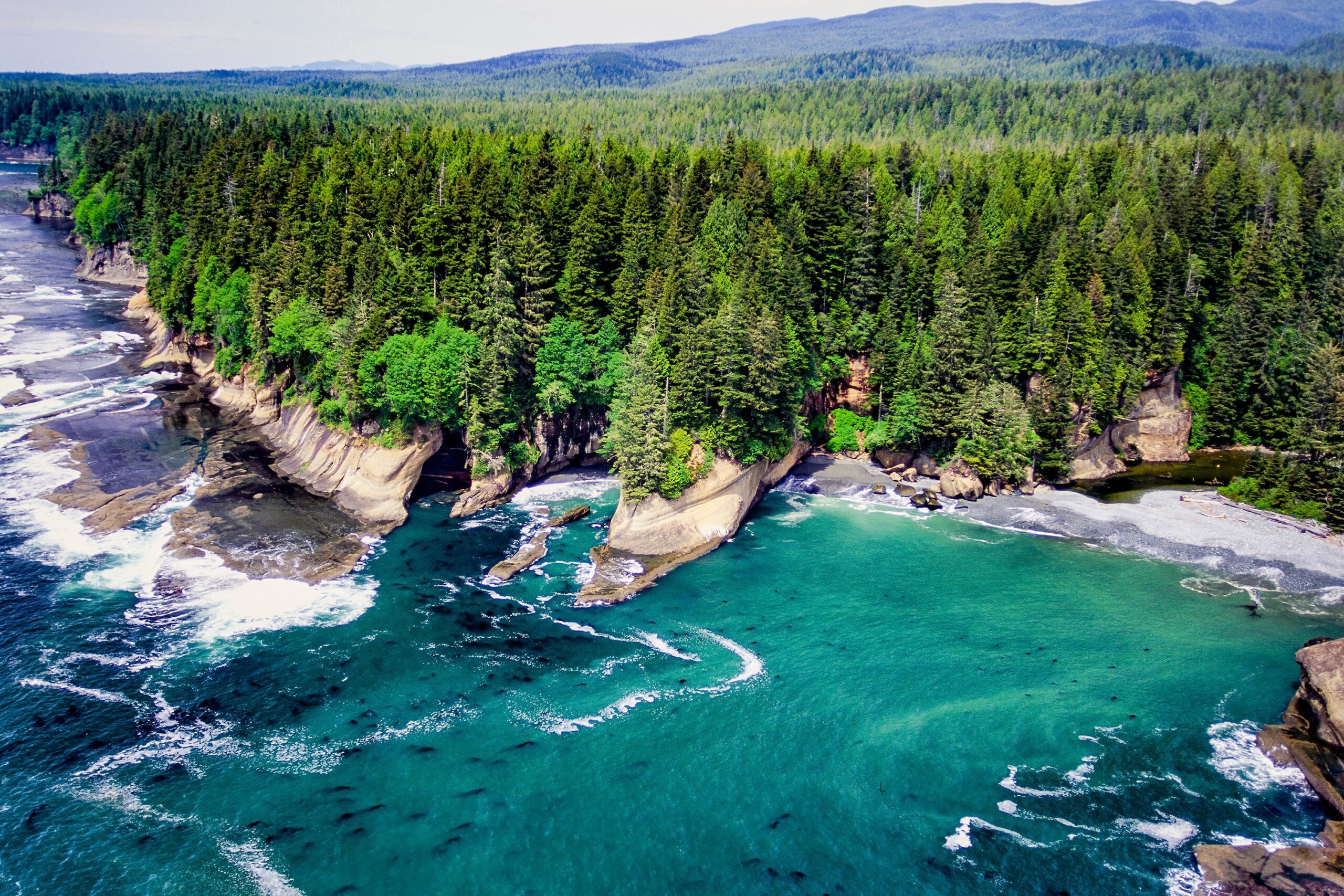 Sailing the Pacific: An 8-Day Yacht Journey through Canada’s Coastal Wilderness