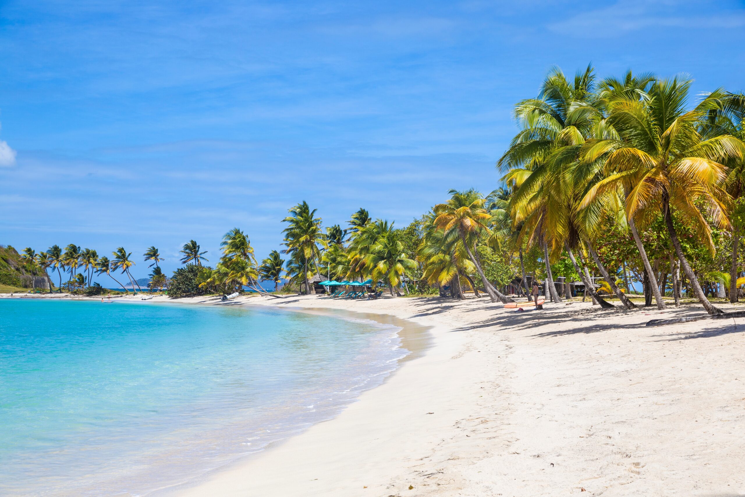 Day 1 | Whipray Caye
