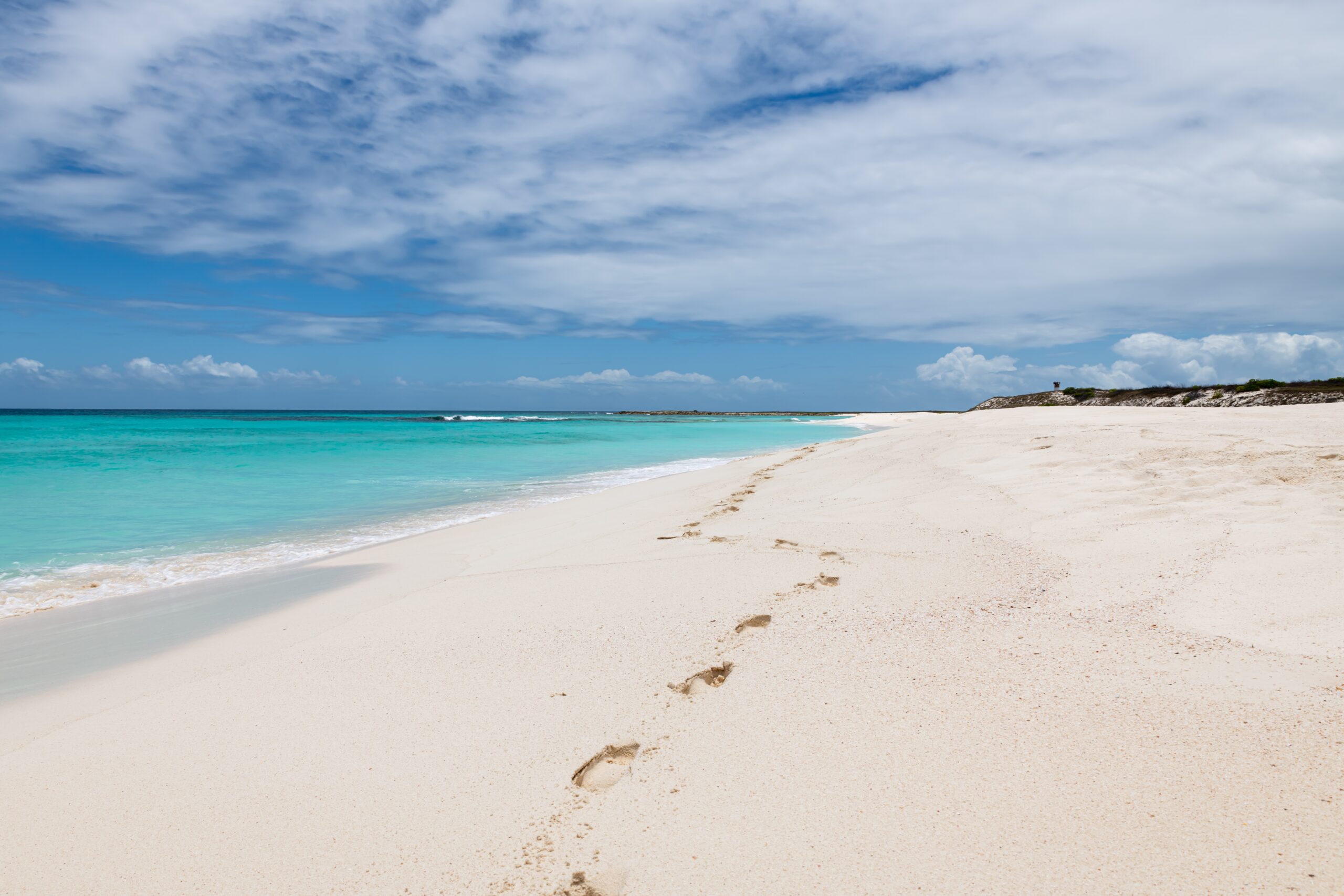 Day 2 | South Water Caye