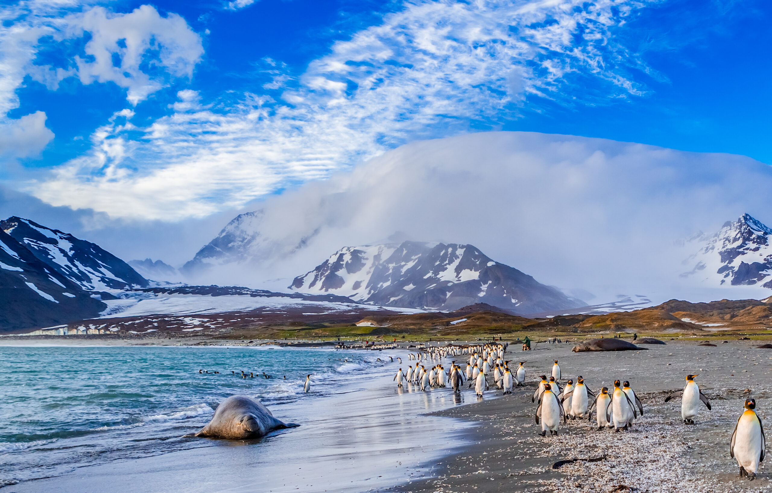 Gallery thumbnail 10