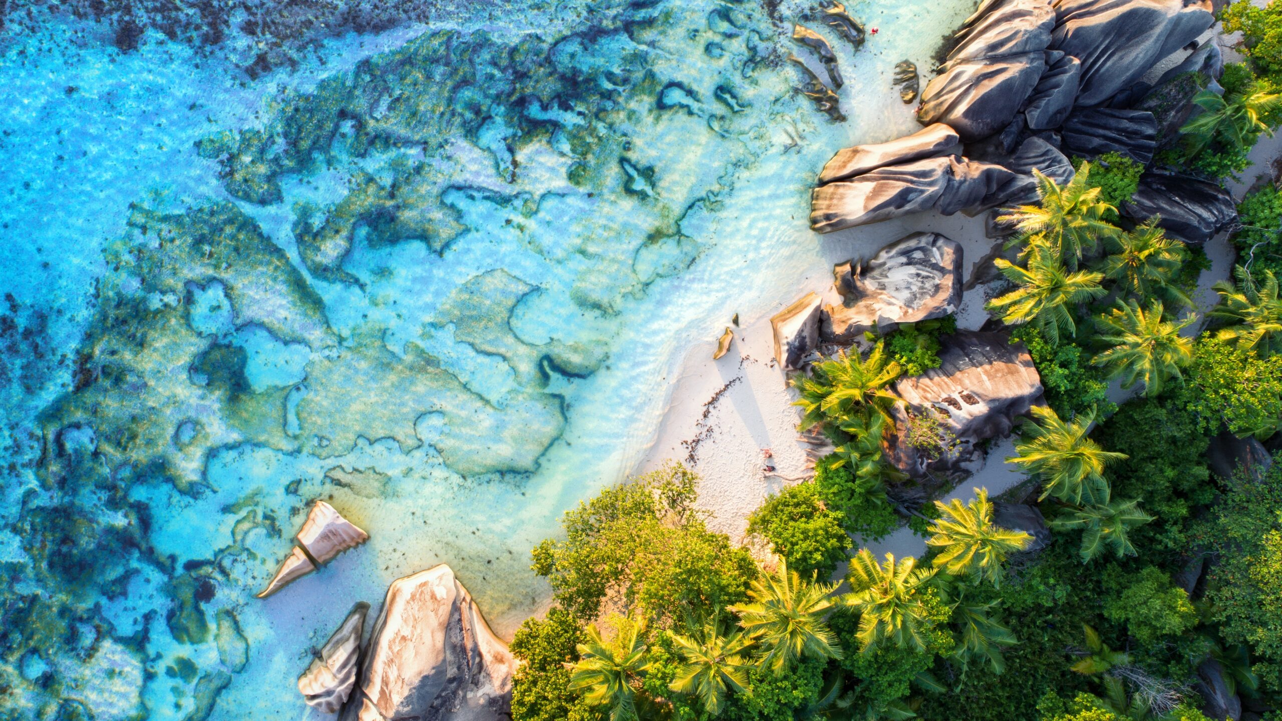 CHARTER ITINERARIES itinerary banner