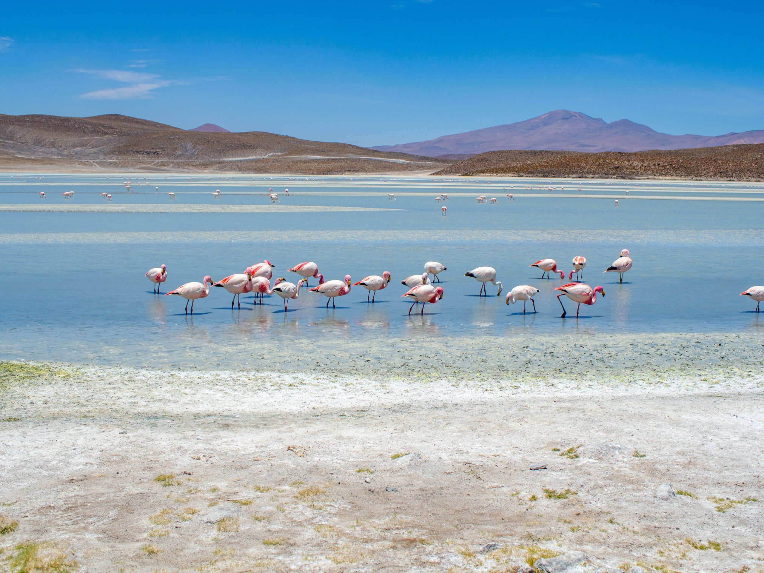 Bolivia Yacht Charter hero
